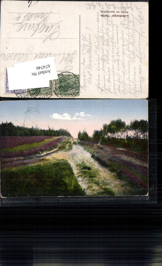 674746,Lüneburger Heide bei Quarrendorf Hanstedt Nordheide