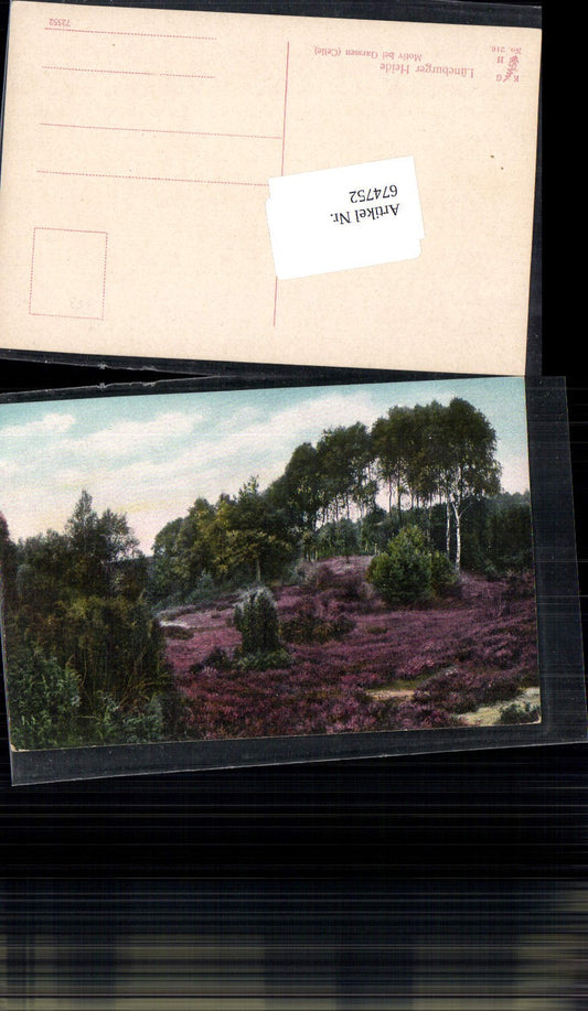 674752,Lüneburger Heide Motiv bei Garssen Celle