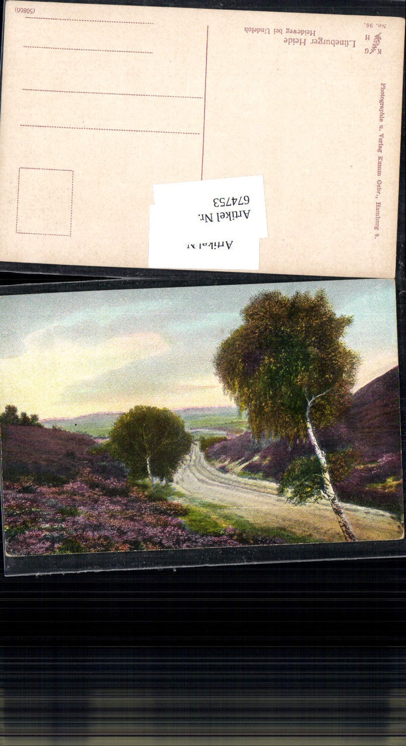 674753,Lüneburger Heide Heideweg bei Undeloh Hanstedt Kr. Harburg