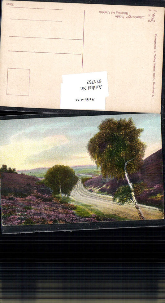 674753,Lüneburger Heide Heideweg bei Undeloh Hanstedt Kr. Harburg