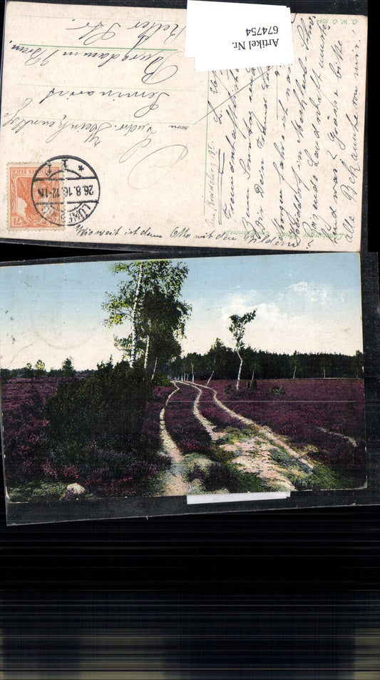 674754,Lüneburger Heide