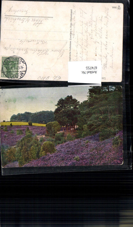 674755,Lüneburger Heide