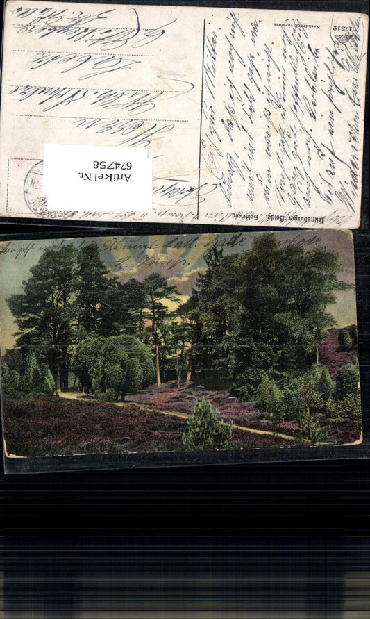 674758,Lüneburger Heide Heideweg