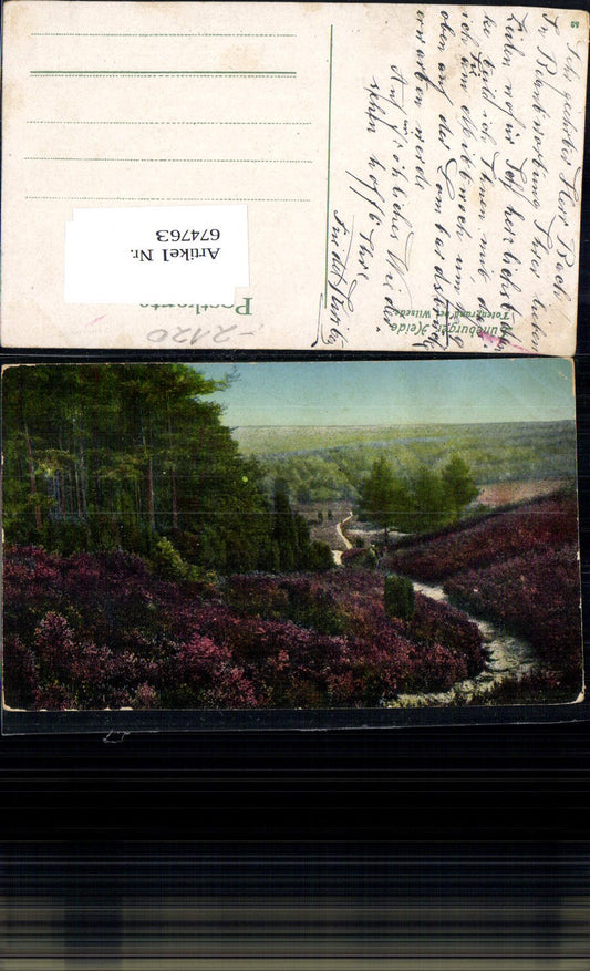 674763,Lüneburger Heide Totengrund bei Wilsede