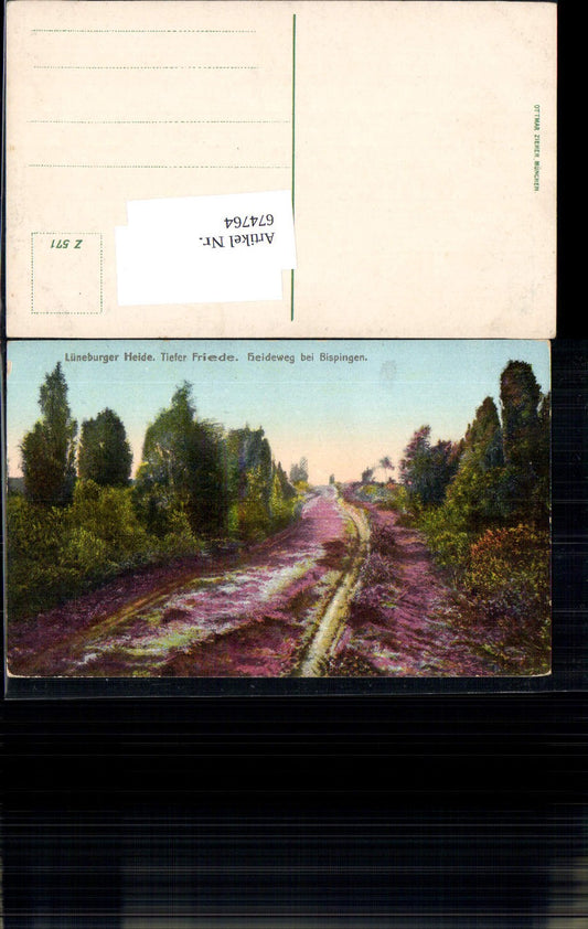 674764,Lüneburger Heide Heideweg b. Bispingen