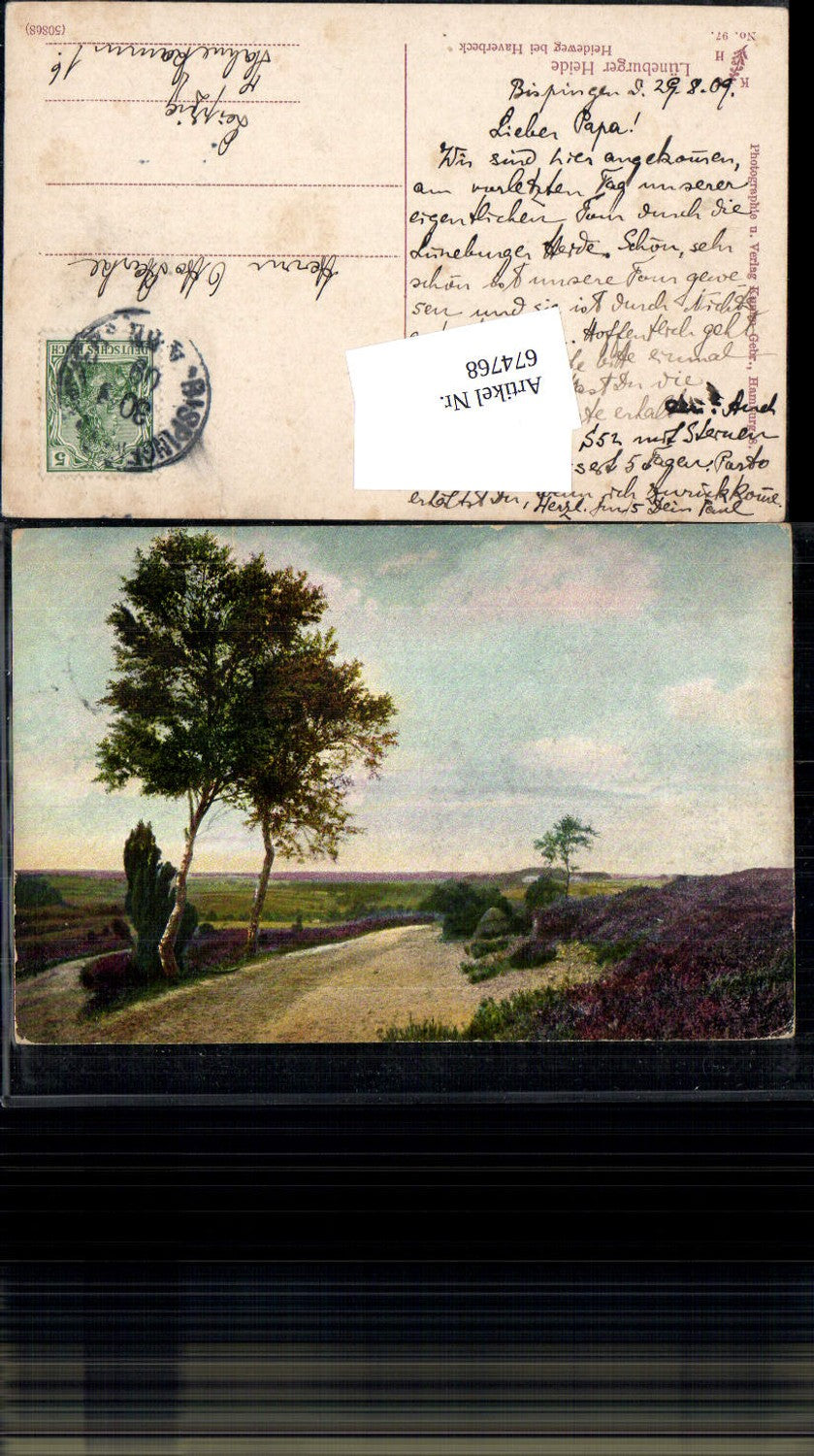 674768,Lüneburger Heide Heideweg b. Haverbeck Bispingen