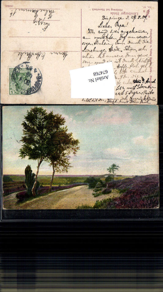 674768,Lüneburger Heide Heideweg b. Haverbeck Bispingen