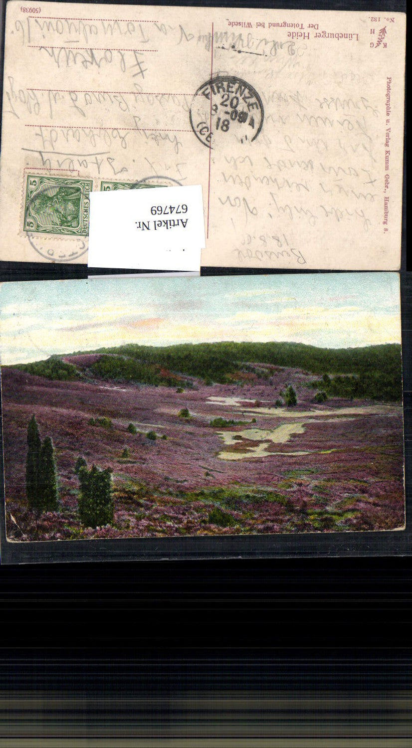 674769,Lüneburger Heide Totengrund b. Wilsede