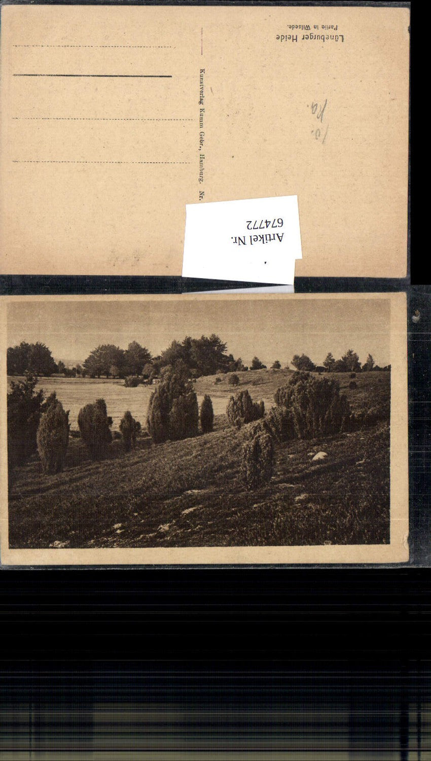 674772,Lüneburger Heide Wilsede