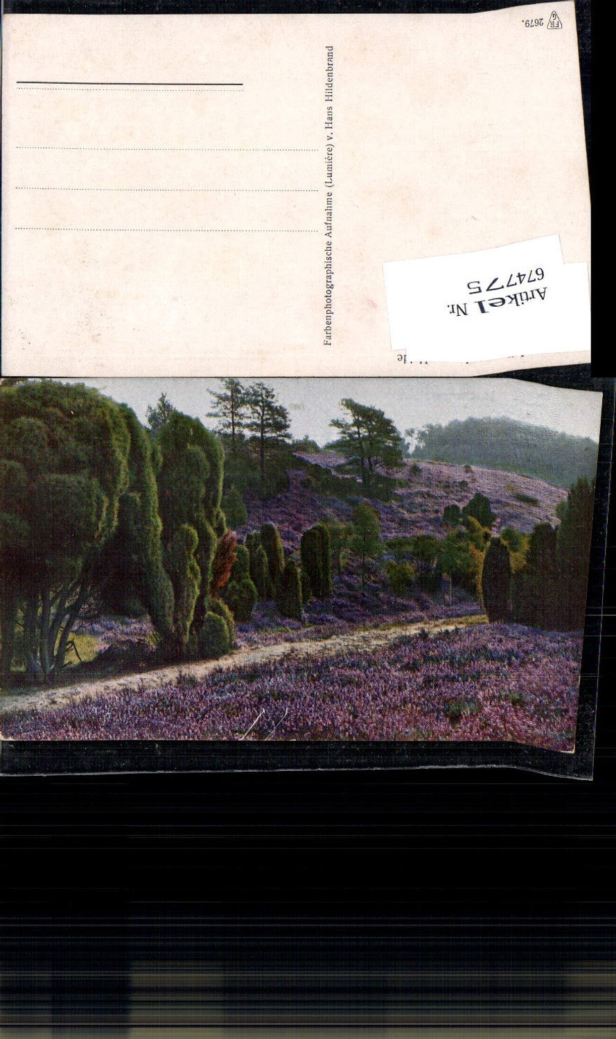 674775,Lüneburger Heide