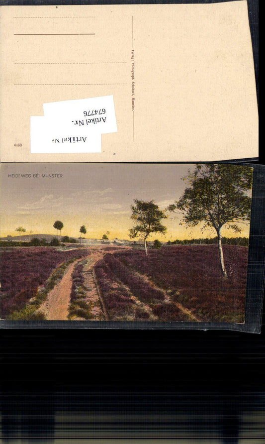 674776,Lüneburger Heide Heideweg bei Munster