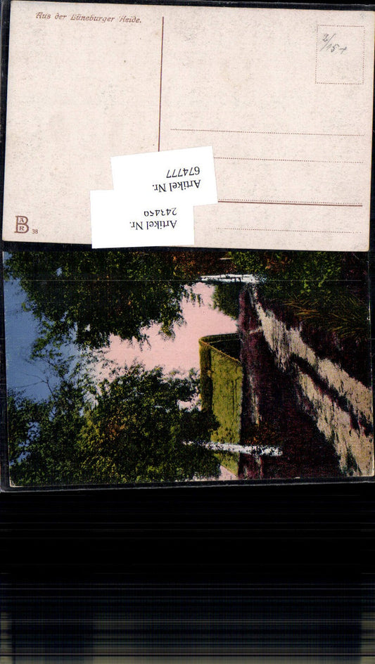 674777,Lüneburger Heide Haus Birken Bäume Baum