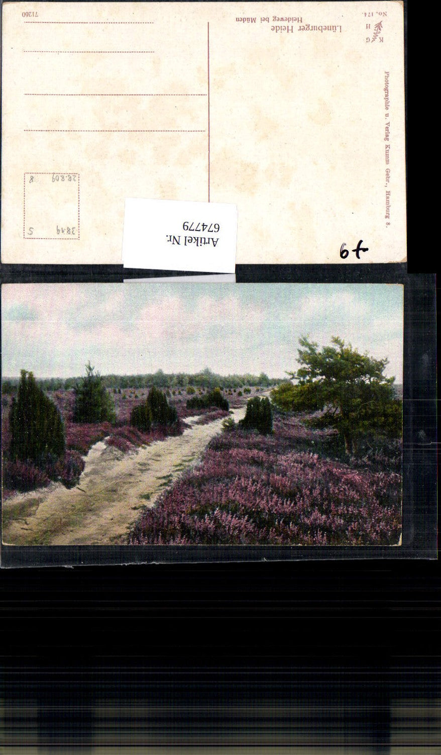 674779,Lüneburger Heide Heideweg bei Müden Örtze Faßberg Kr. Celle