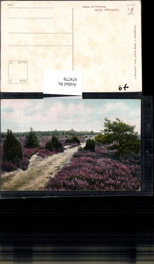 674779,Lüneburger Heide Heideweg bei Müden Örtze Faßberg Kr. Celle