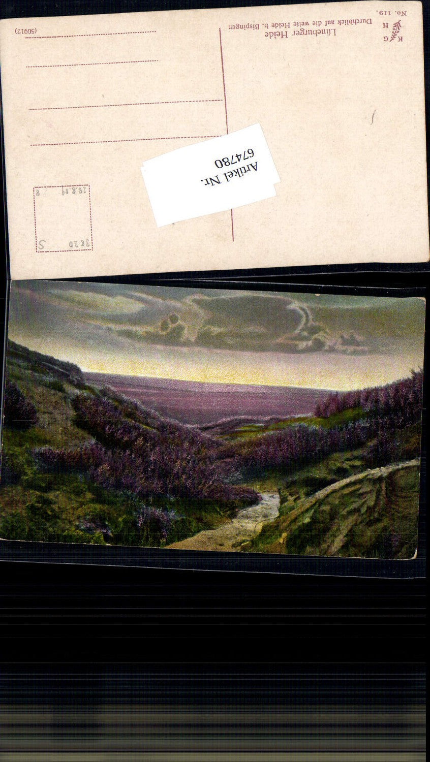 674780,Lüneburger Heide Heide bei Bispingen