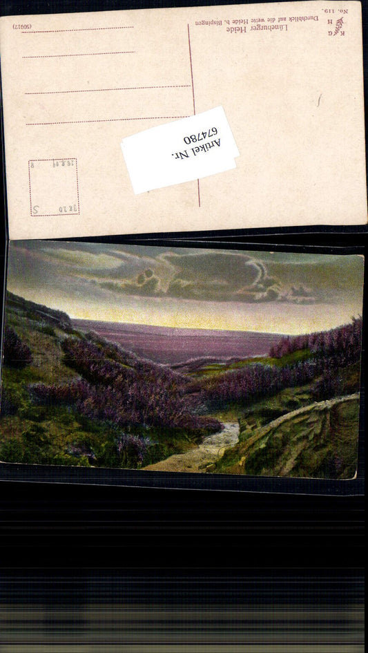 674780,Lüneburger Heide Heide bei Bispingen