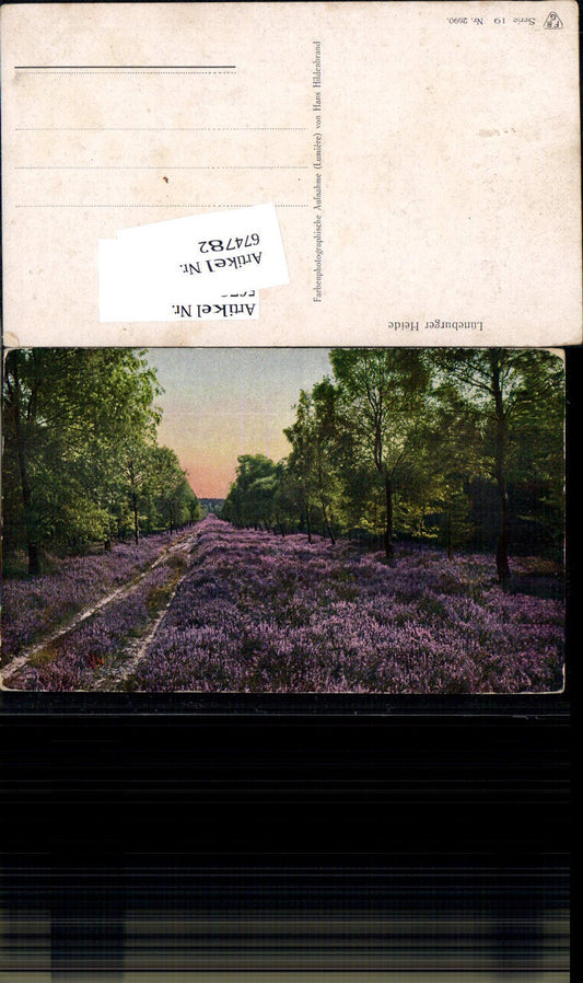 674782,Lüneburger Heide