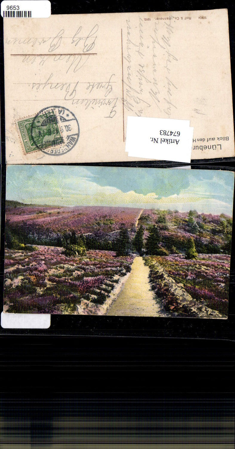 674783,Lüneburger Heide Höllenberg b. Seppensen