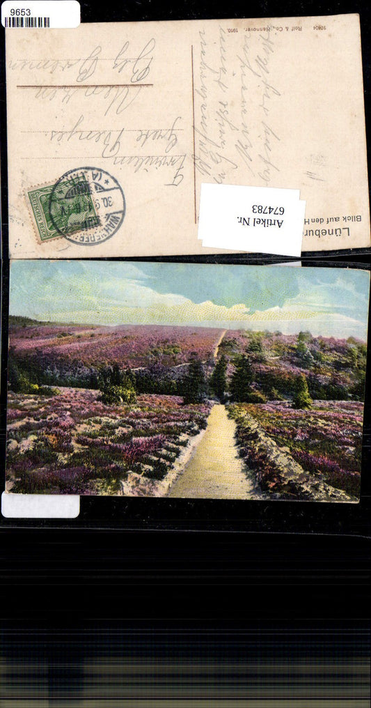 674783,Lüneburger Heide Höllenberg b. Seppensen