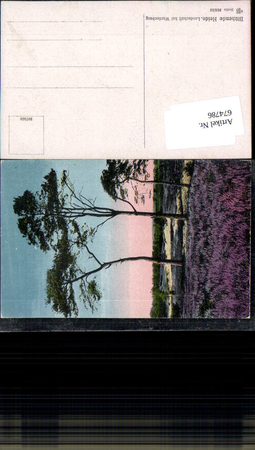 674786,Lüneburger Heide Wardenburg