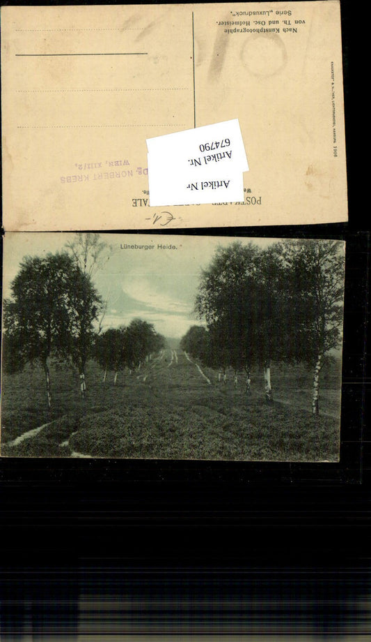 674790,Lüneburger Heide Kunstphotographie v. Th. u. Oscar Hofmeister Luxusdruck