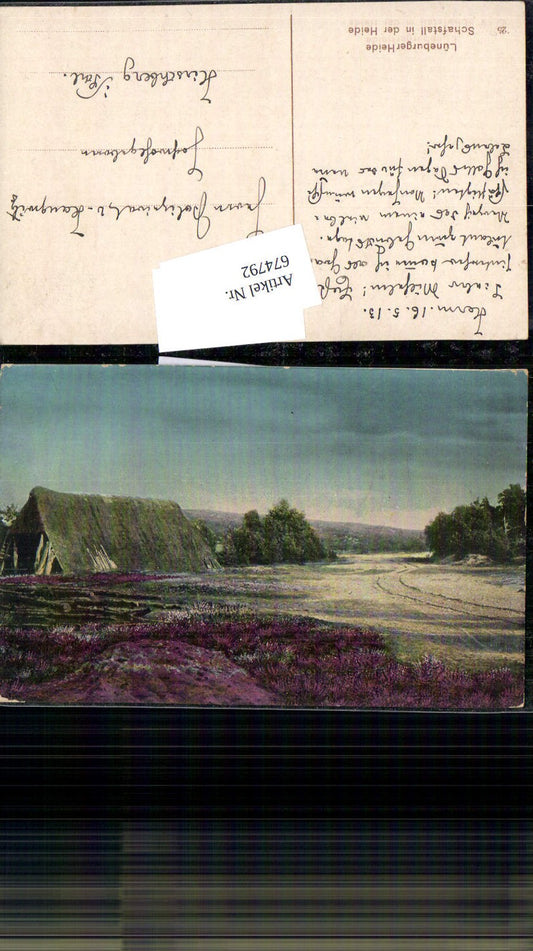 674792,Lüneburger Heide Schafstall heide