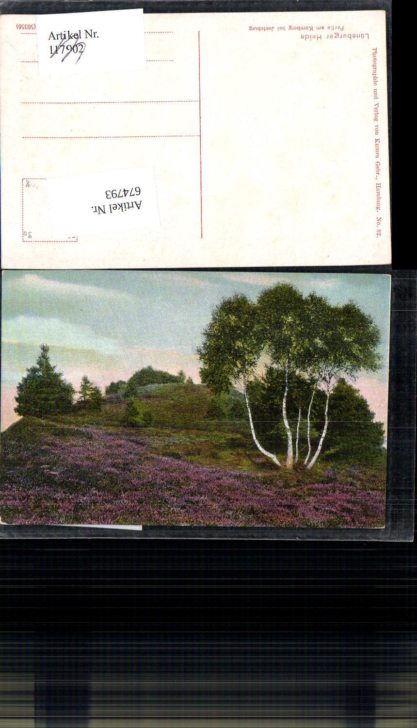 674793,Lüneburger Heide Kornberg bei Jesteburg