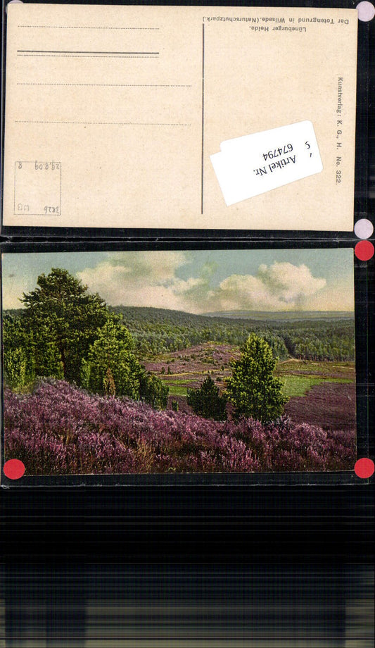 674794,Lüneburger Heide Totengrund Wilsede