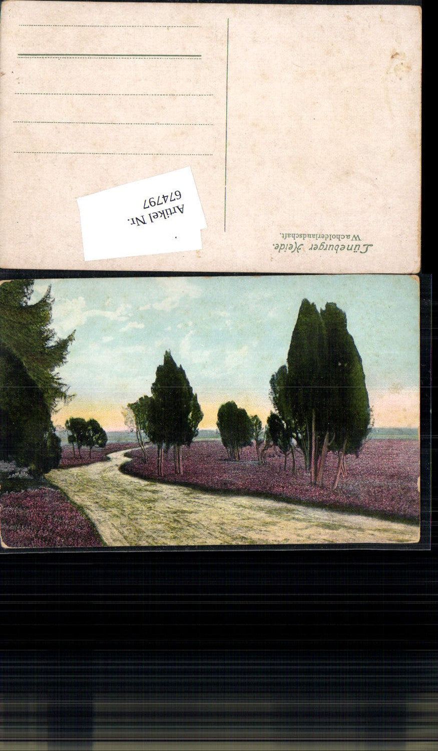 674797,Lüneburger Heide