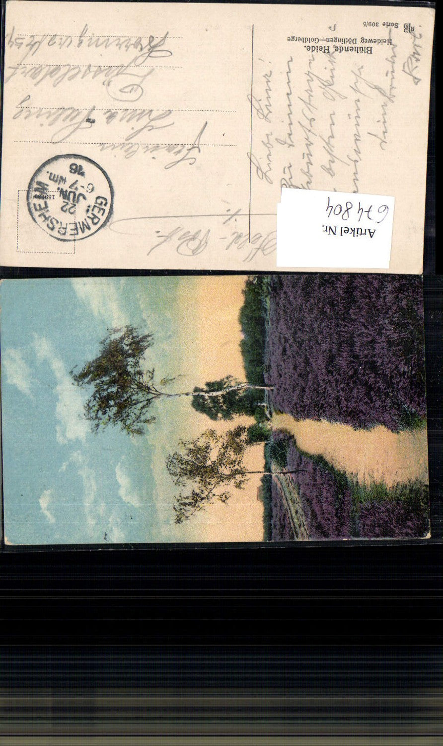 674804,Lüneburger Heide Heideweg Döttingen - Goldberge Feldpost Germesheim