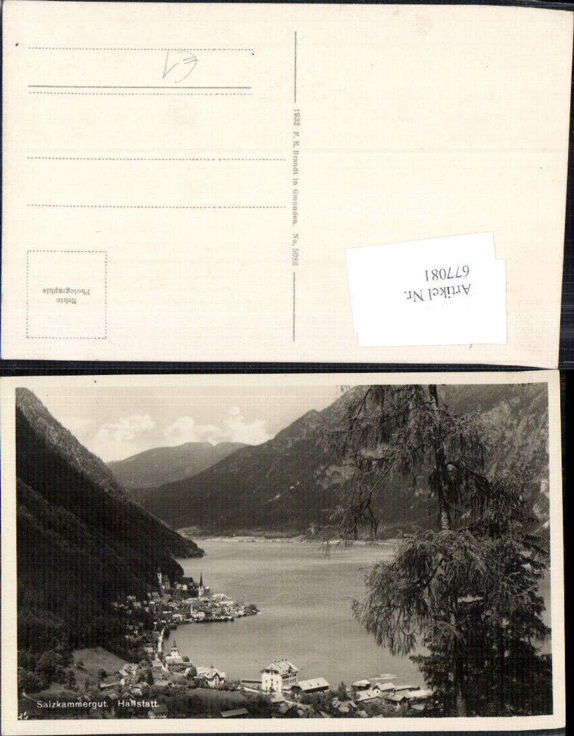 677081,Hallstatt am Hallstättersee