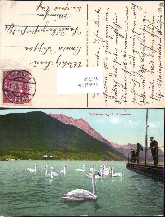 677788 Salzkammergut Gmunden am Traunsee Schwan Schwäne Landungsplatz pub Brandt 749