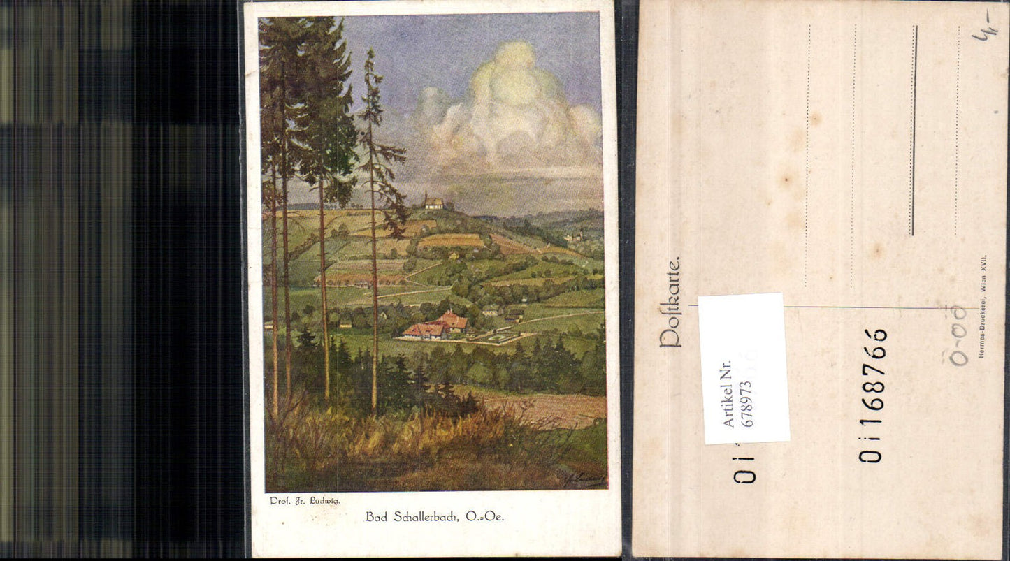 678973 Künstler AK Prof. Fr. Ludwig Bad Schallerbach