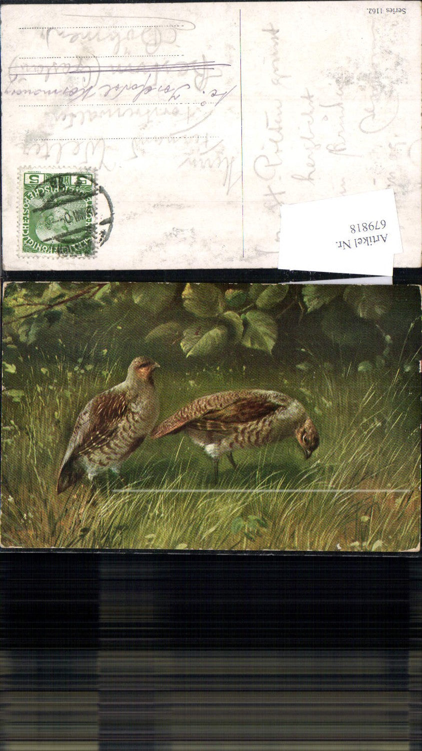 679818 Künstler AK Jagd Auerhahn Wachtel