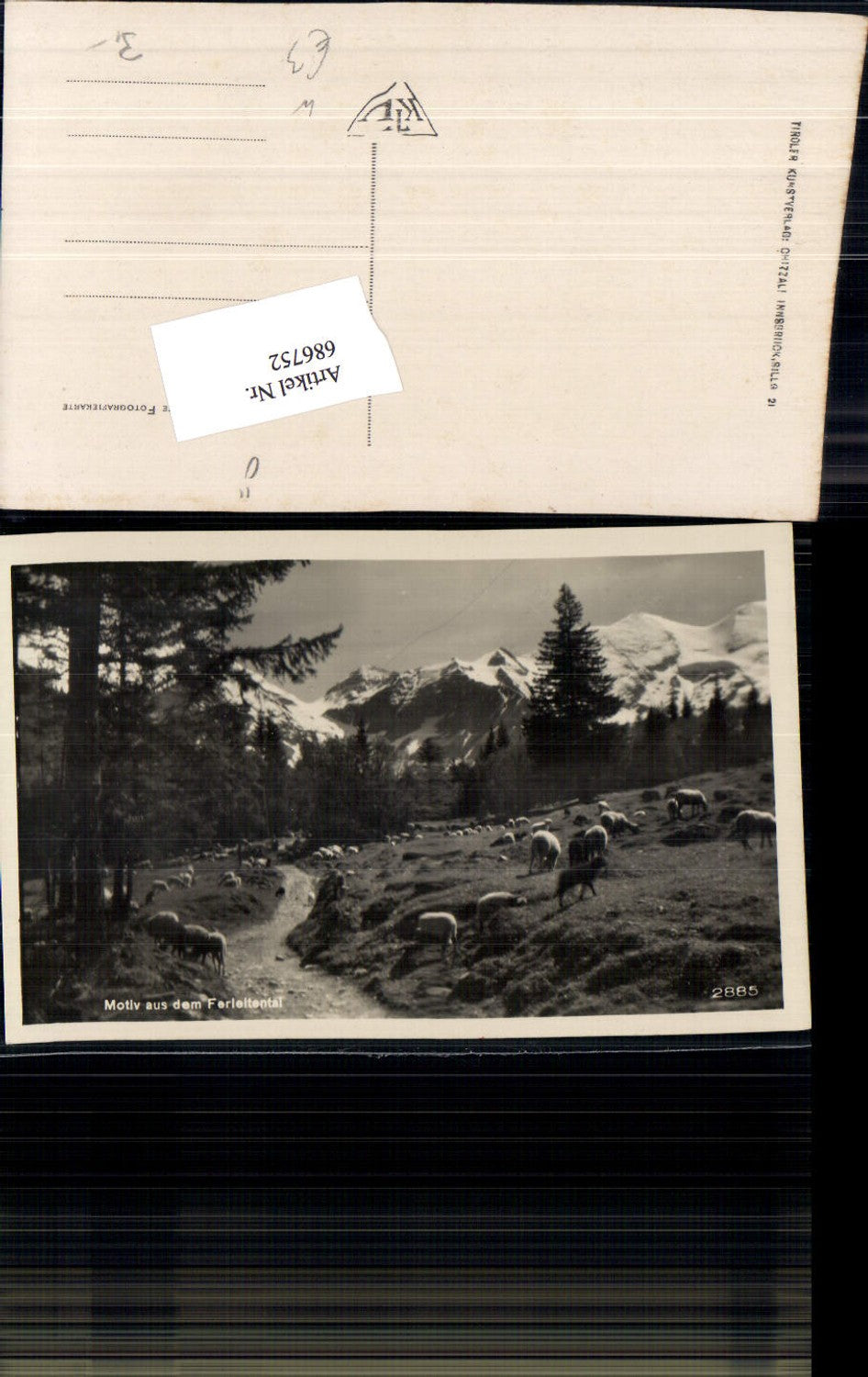 686752 Motiv aus dem Ferleitental Ferleiten Schafe Bruck Fusch