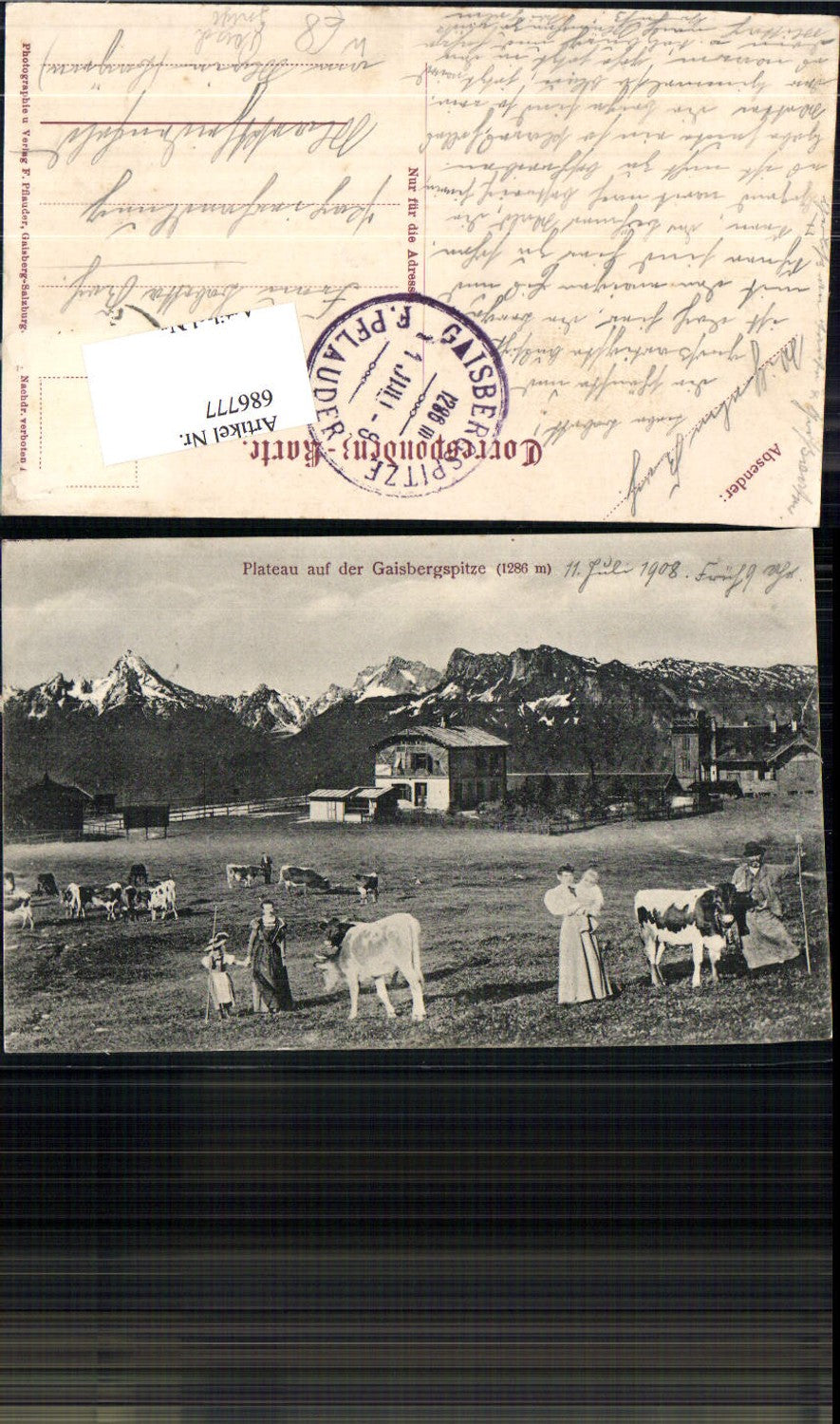 686777 Gaisberg Plateau Leute bei Parsch Gnigl Salzburg Obergnigl Kühe 1905