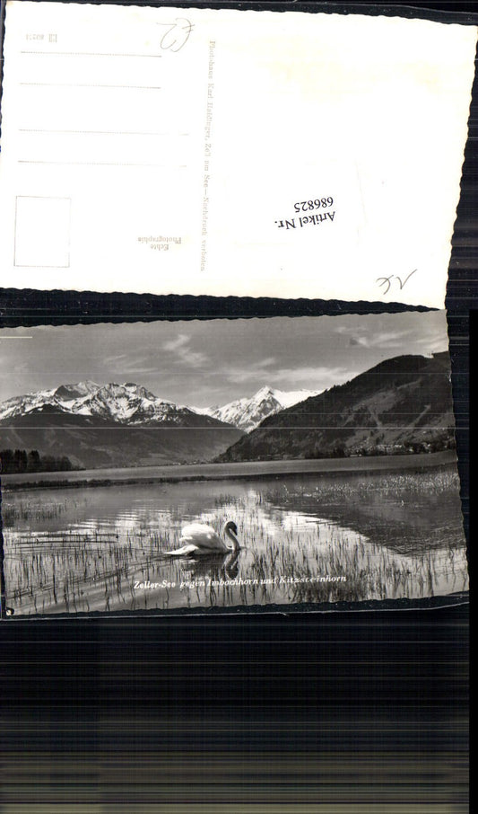 686825 Zell am See