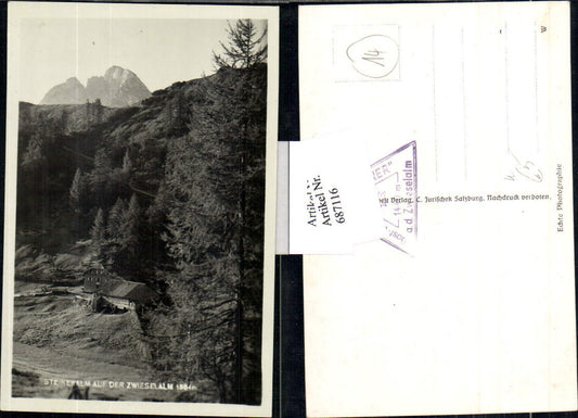 687116 Foto-AK Steineralm auf der Zwieselalm b. Gosau