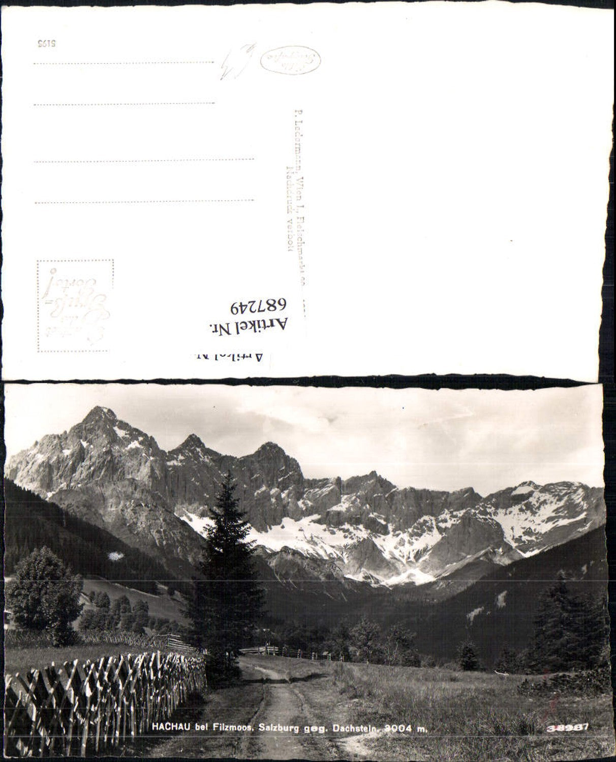 687249 Hachau Filzmoos