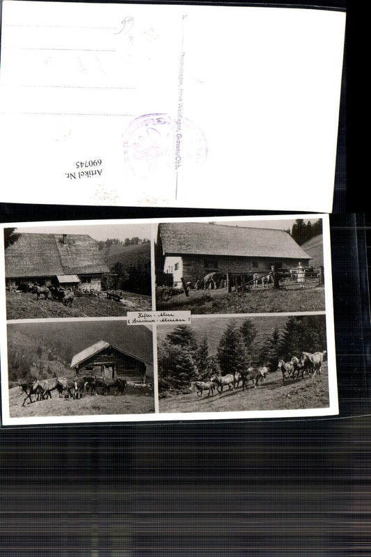 690745 Photo postcard Hefter Alm near Grassau Chiemgau Chiemsee Grassau Alpine pastures