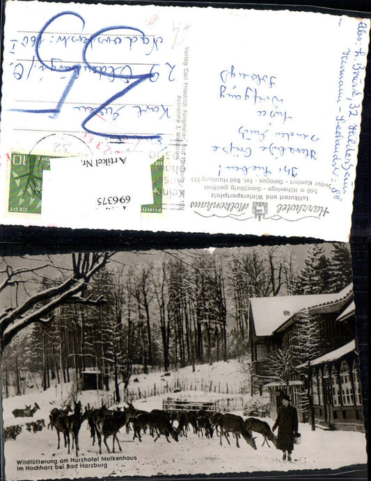 696375 Wildfütterung Harz Bad Harzburg Tiere Goslar