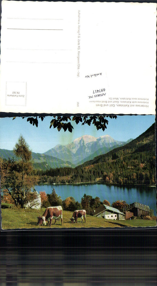 697417 Hintersee Berchtesgaden Göll Brett Kehlstein Cow Cows