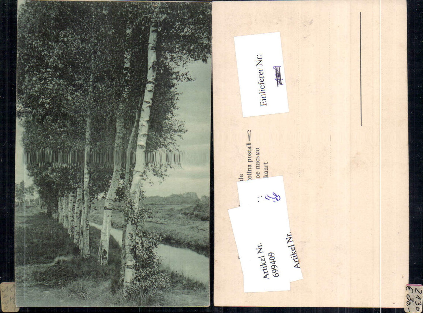 699409 Künstler AK Birken Bäume Bach Landschaft