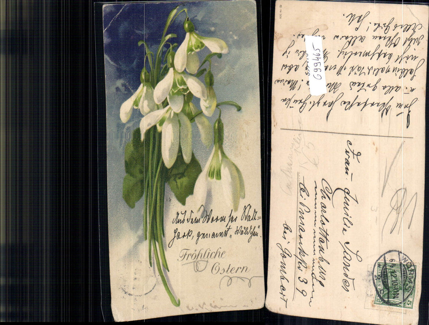 699465 Künstler AK Catharina Klein unsign. Blumen Schneeglöcklein