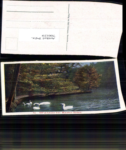 700129 Baden Baden Waldsee Swans