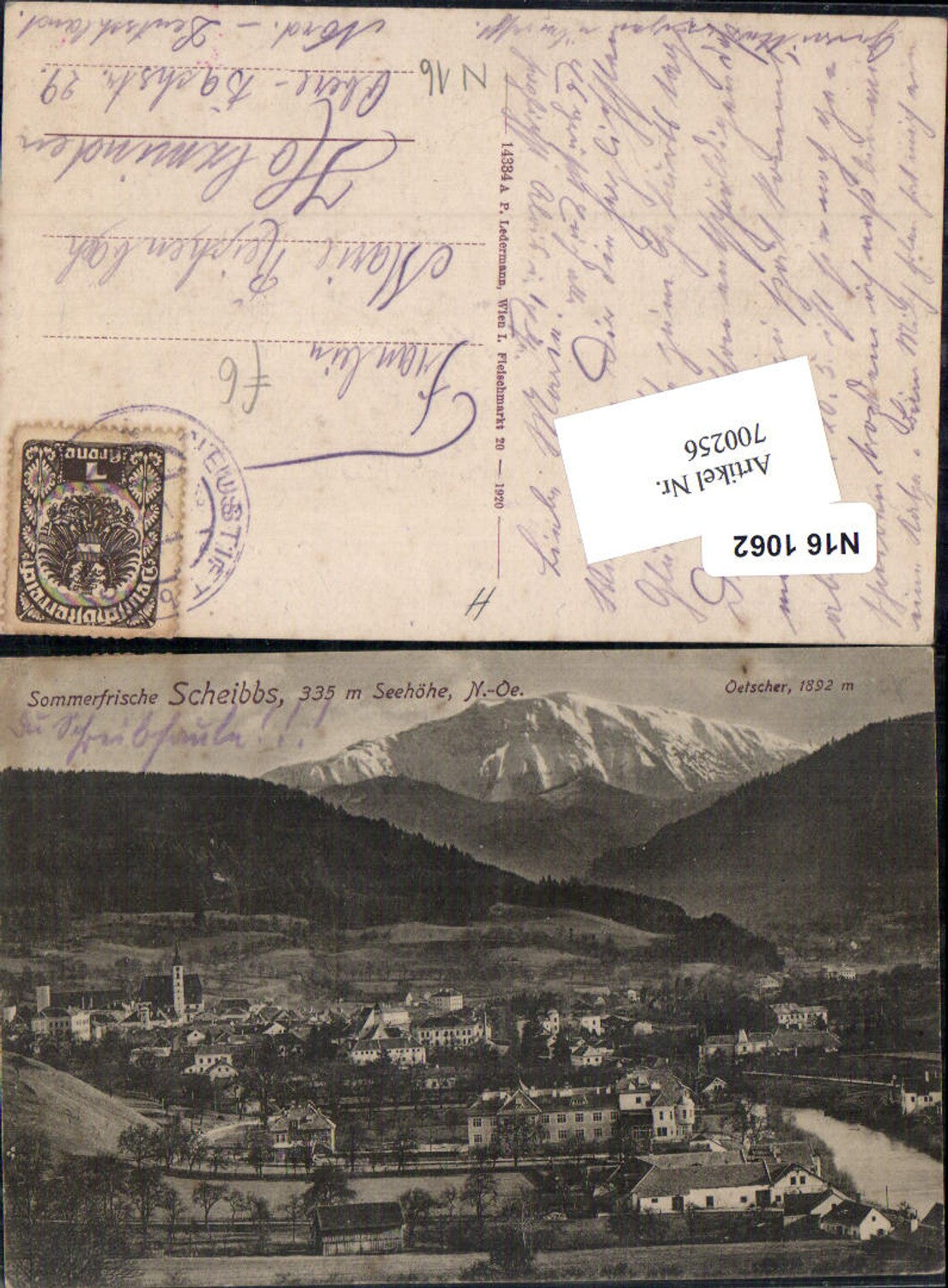 700256 Scheibbs pub Ledermann 14384 A