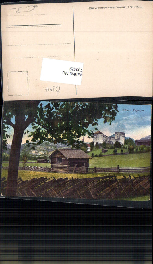 700529 Schloss Kaprun b. Zell am See pub Purger & Co. 9805