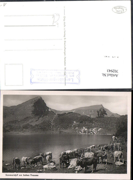 Landsberg am Lech Sommeridyll am hohen Trausee Kühe Stempel Landsberger Hütte