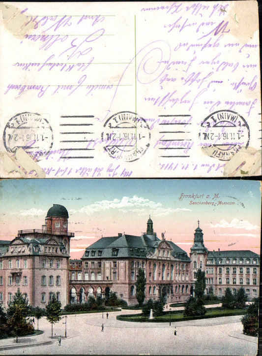 Frankfurt am Main Senckenberg Museum Feldpost Kollnau Waldkirch