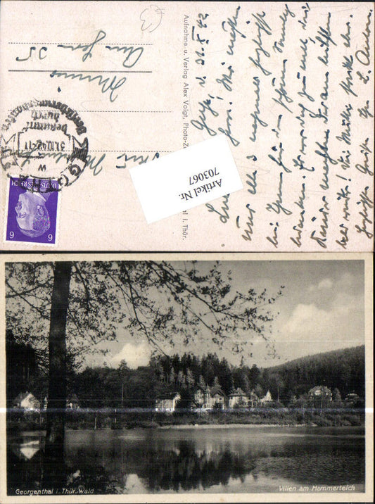 703067 Georgenthal in the Thuringian Forest, villas at Hammerteich